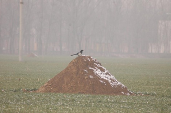 一夜恢復百萬墳墓