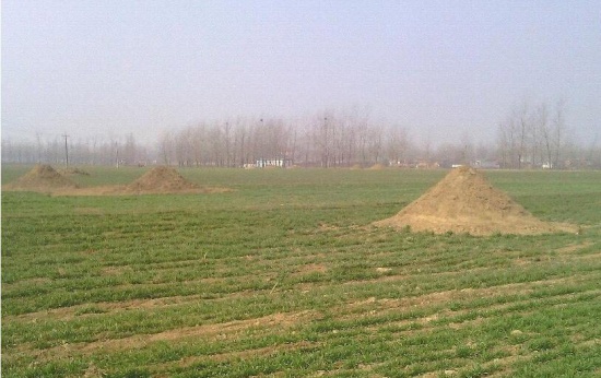 一夜恢復百萬墳墓