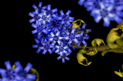 國外頂級(jí)人體藝術(shù)攝影作