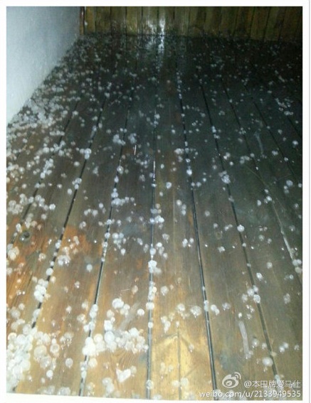 溫州下冰雹了 24日凌晨溫州平陽雷電交加下起了冰雹