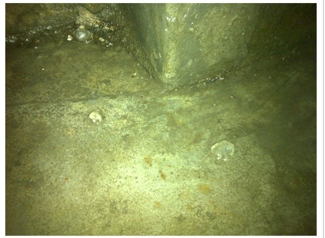 溫州下冰雹了 24日凌晨溫州平陽雷電交加下起了冰雹