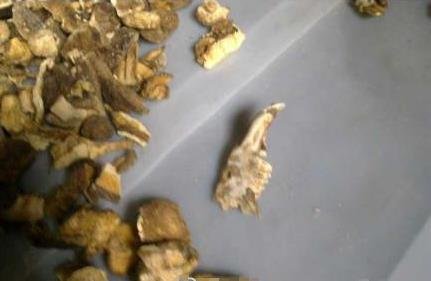 糯米飯吃出老鼠頭