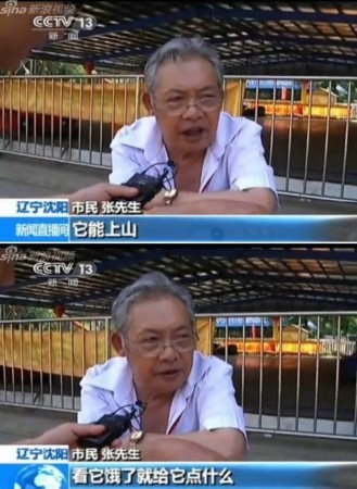 央視采訪保護(hù)藏羚羊遭遇神回復(fù)