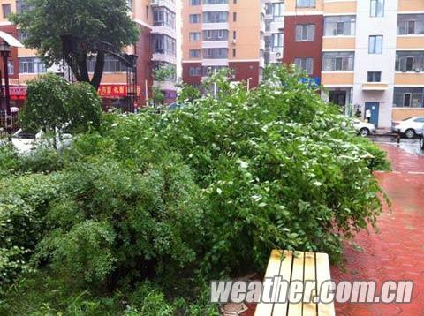 入夏最強降水襲黑龍江 哈爾濱連下8天雨部分學校停課