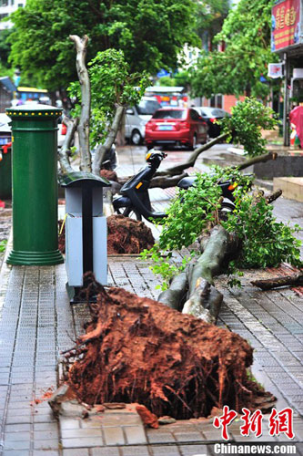 飛燕臺(tái)風(fēng)對(duì)海南影響