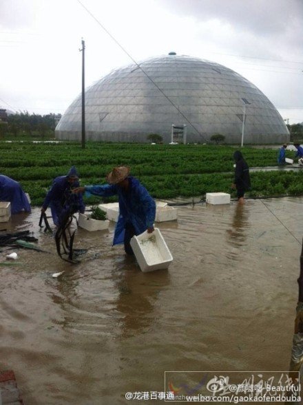 水淹蒼南圖片 臺風來襲溫州蒼南滿大水了
