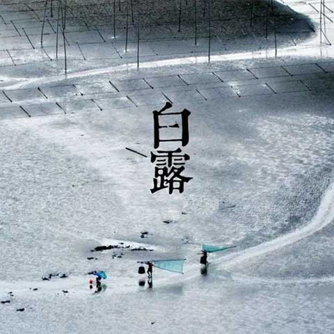 二十四節(jié)氣白露