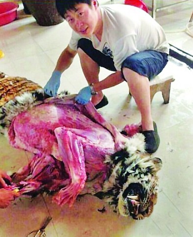 網友曬剝老虎皮照