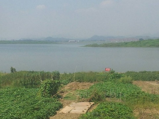 中秋游湖賞月落水 余杭南湖5人游湖時(shí)翻船落水3人遇難