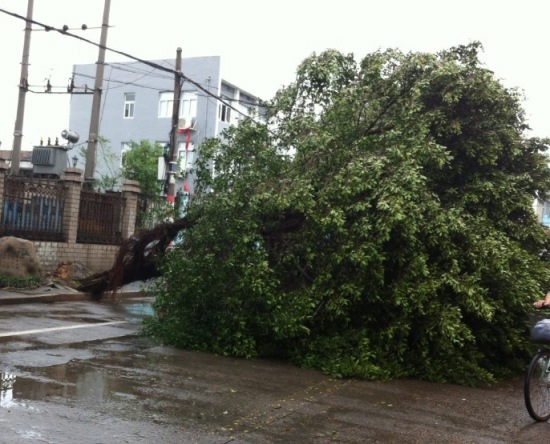 臺風(fēng)菲特災(zāi)情