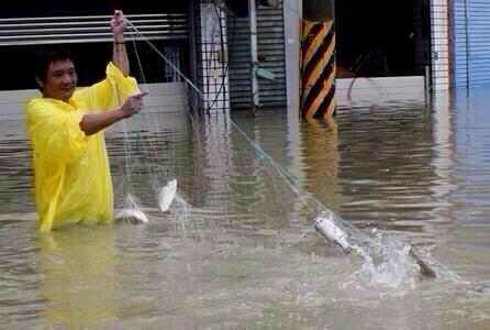 臺風(fēng)菲特災(zāi)情