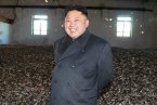 金正恩殺了張成澤后心情大好 金正恩視察朝鮮313部隊(duì)