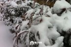 浙江下雪了 2013年冬季浙江多地迎來(lái)第一場(chǎng)雪