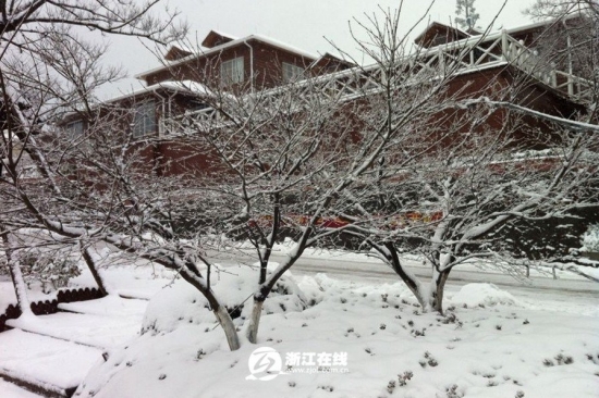 浙江下雪了,2013年冬季浙江湖州安吉第一場(chǎng)雪