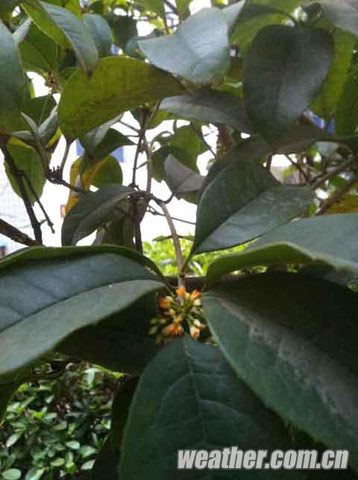 合肥最高溫超20℃ 鳥語花香&ldquo;春意盎然&rdquo;