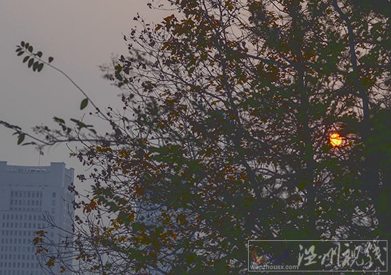 溫州永嘉今天灰霾嚴重