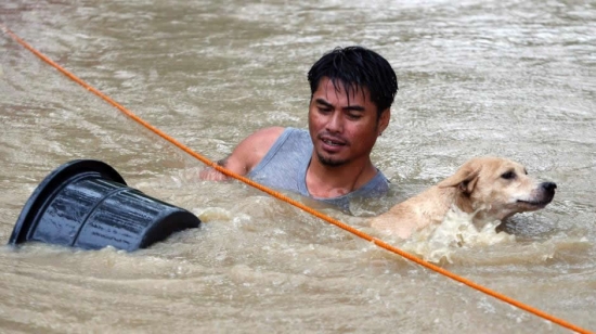 2014年第1號臺風(fēng)玲玲造成菲律賓死傷百多人