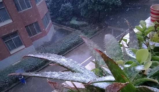 昆明2014年第一場雪