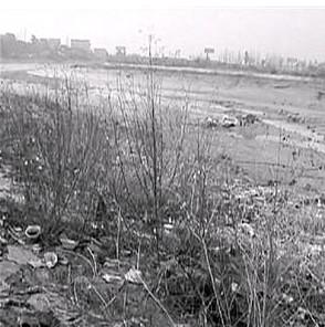 五年前的永嘉橋頭菇溪河垃圾隨處可見