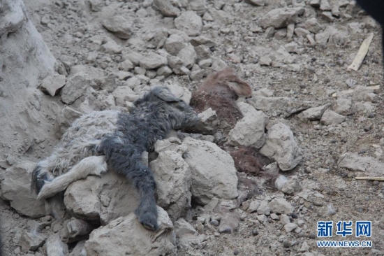 新疆于田縣地震
