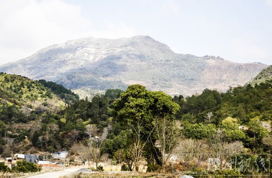 溫州下雪了永嘉天氣預(yù)報(bào)說下雨