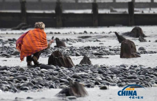英國遭遇強風(fēng)暴，大風(fēng)出土5000年前的森林遺址。