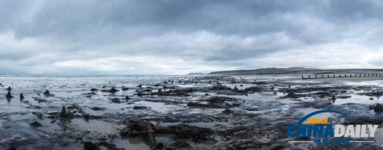 英國遭遇強風(fēng)暴，大風(fēng)出土5000年前的森林遺址。
