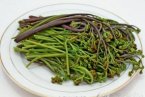 俗稱拳頭菜的蕨菜會致癌 科學(xué)家證明蕨菜含多種致癌