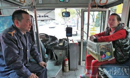 女乘客帶狗上車 溫州42路公交司機熄火不開