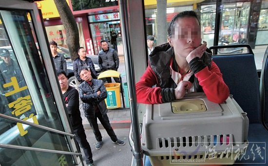 女乘客帶狗上車 溫州42路公交司機熄火不開