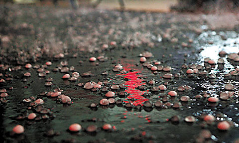 蕭敬騰生日廣東多地降暴雨：廣州下冰雹了