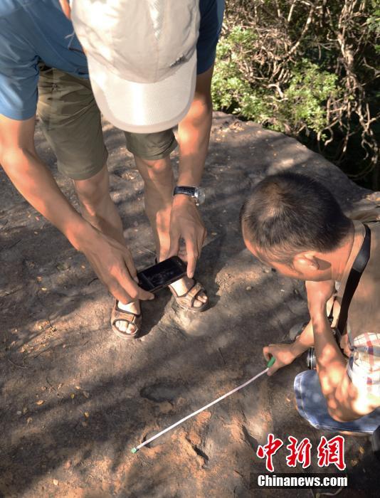 四川現2億年前手獸足跡