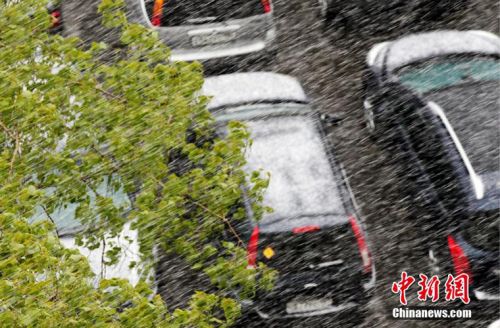 莫斯科五月飛雪