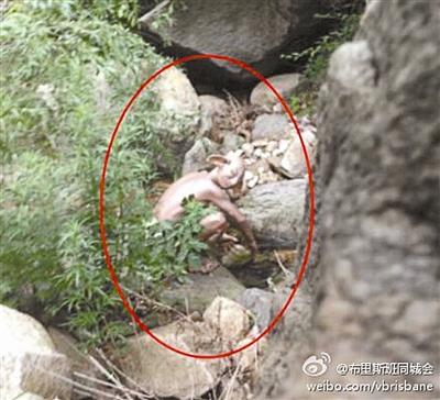 北京懷柔驚現(xiàn)怪獸