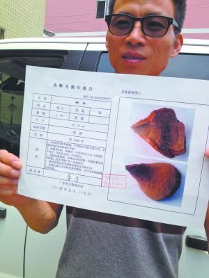 車主倒車撞爛古董 路虎車主被索賠2000萬