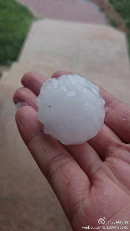 北京延慶突降冰雹大如兵乓球