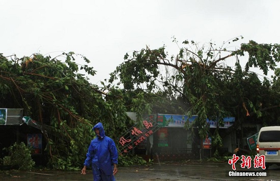 廣西臺風過后街頭一片狼藉