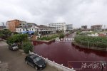 溫州河水一夜變血水 蒼南龍港內(nèi)河河水怎么了