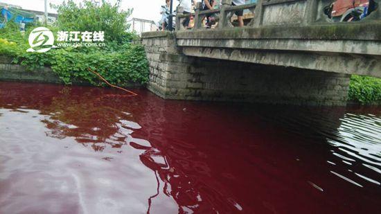 蒼南內河河水變紅