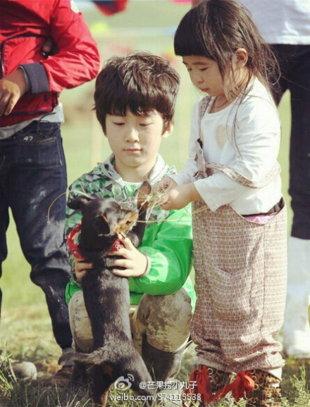 石頭天天加盟爸爸2