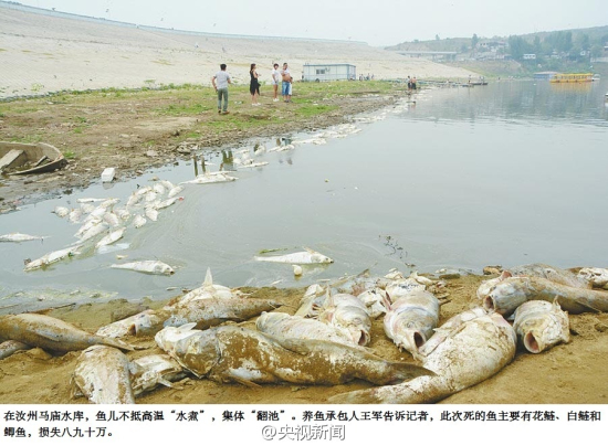河南平頂山干旱情況