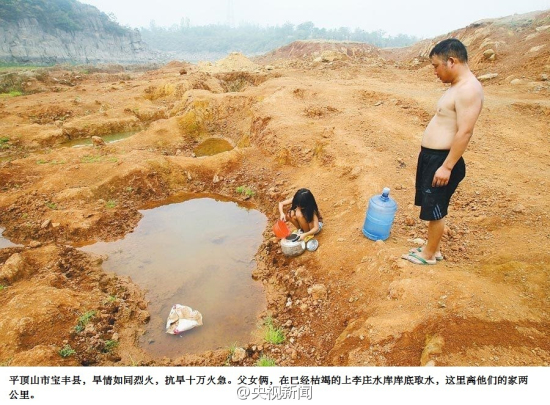 河南平頂山干旱情況