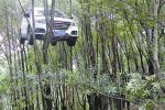 溫州一越野車掛樹上 實(shí)際上是越野車被吊車吊起時(shí)拍