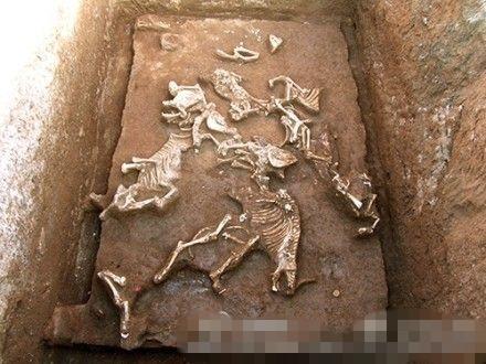 西安財院新校區(qū)挖出秦始皇祖母墓穴