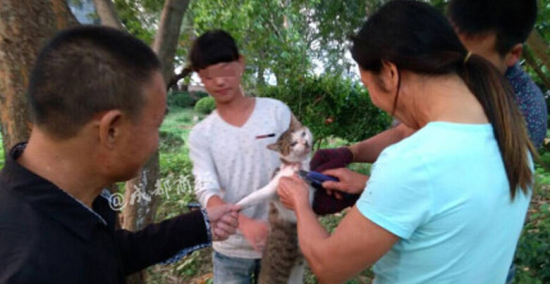 溫州江心嶼景區(qū)多名外地人活剝小貓