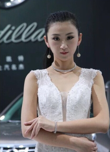 2014溫州車展車模圖片