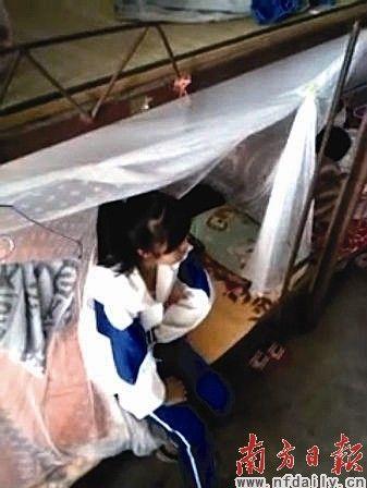 4名女生掌摑1女生