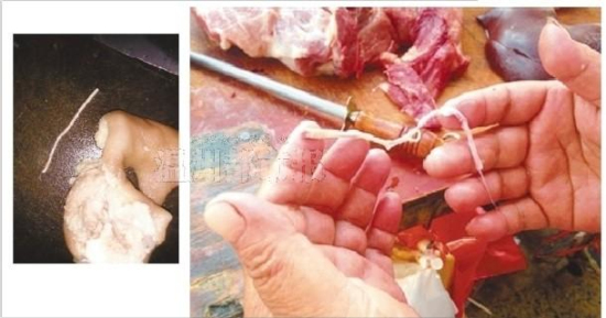 豬肉有鉤蟲是謠言