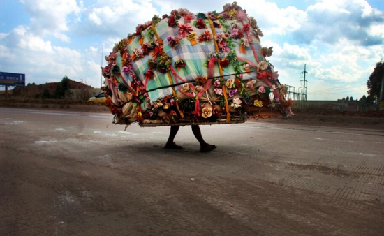 蝸牛哥扛屋回家