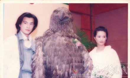 李若彤版小龍女圖片